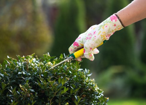 Experienced arborists in Hainault planning responsible tree maintenance near a residential property
