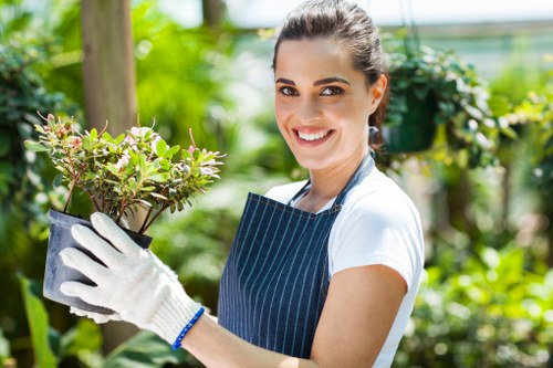 Accepted online payment methods for Tree Surgeons Hainault