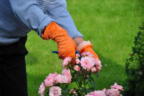 Crown thinning work around a suburban garden with access considerations
